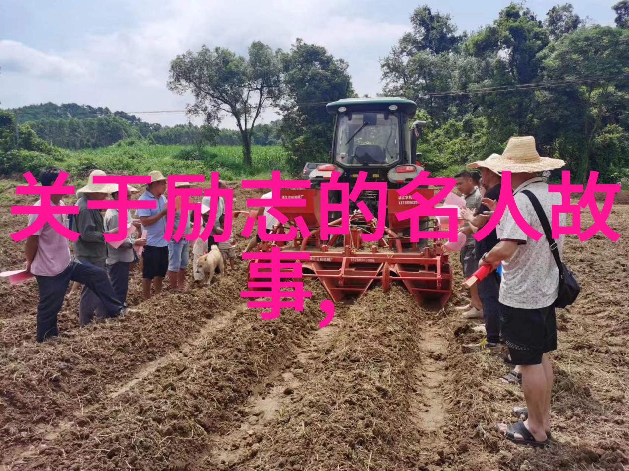克雷格卡尔菲竹子如何迎着阳光行驶三十分钟激励短片