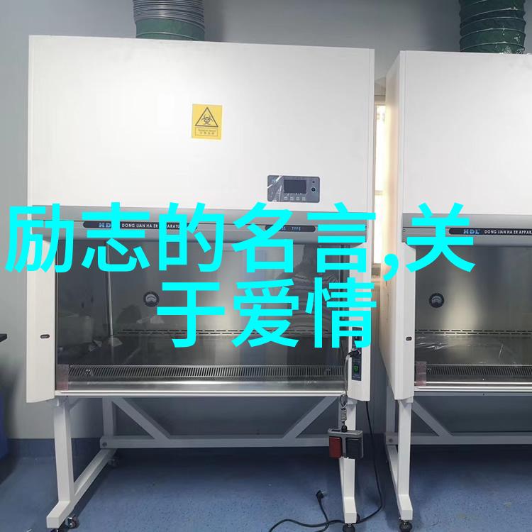 家暴离婚需要什么证据四种婚姻趁早离婚的人物故事