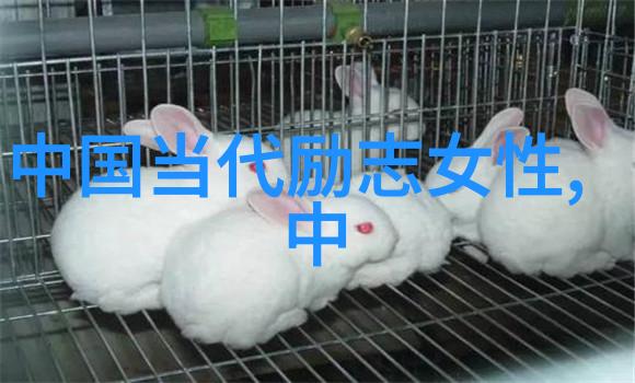 中国历史上的伟大将军三国时期的诸葛亮