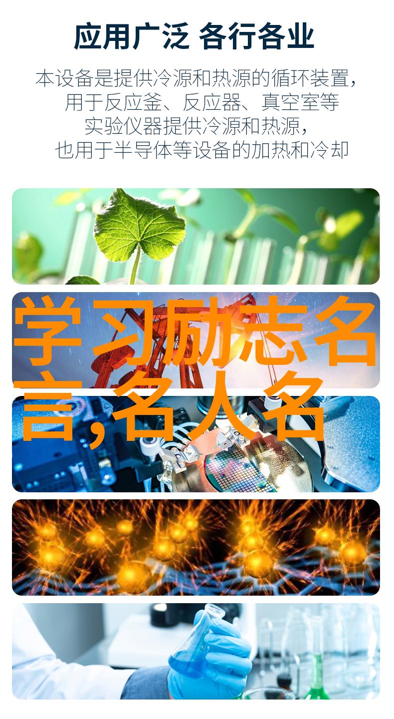 跨文化奋斗之旅一名中国学生的美国梦中外励志小故事1000字作文
