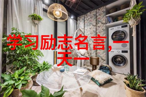 偶像激励人成功的例子 - 从梦想的启航到生活的辉煌跨越不懈追求者的故事