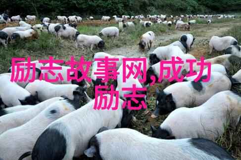 徐梦桃的逆袭之旅从小县城到国际舞台的奋斗史