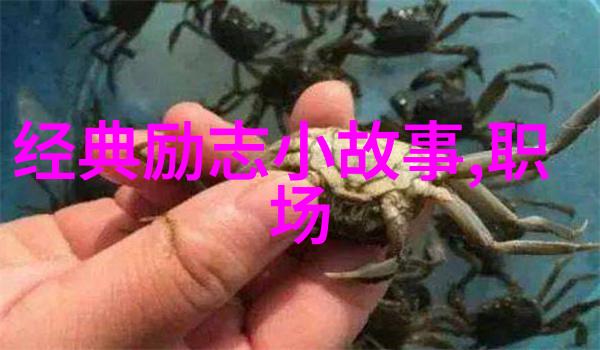 跨文化奇迹中外名人励志故事手抄报