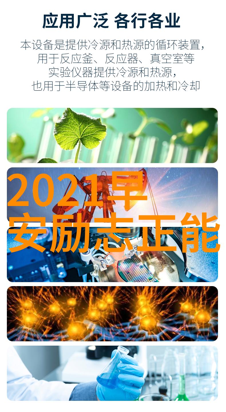 偶像崇拜与名人追求一探其背后努力的社会学分析