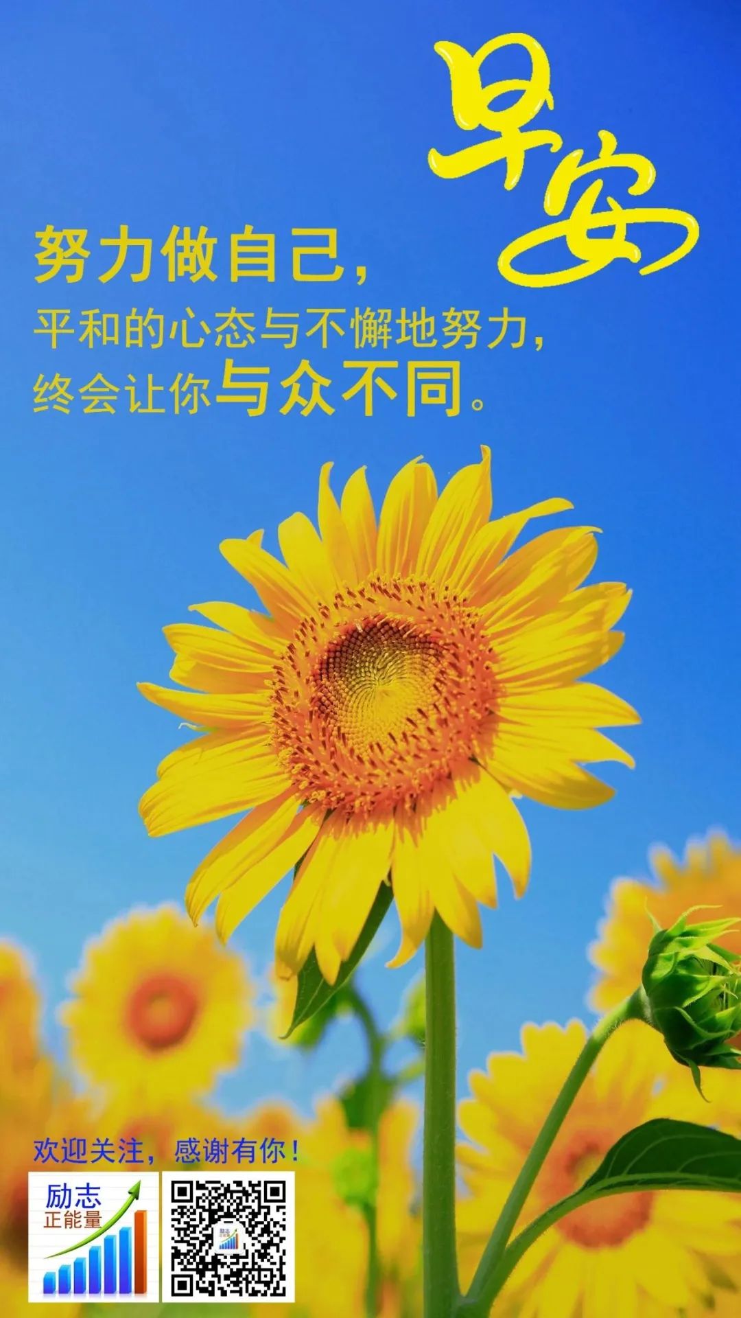 励志工作名言短句霸气_名人名言励志工作_工作励志名言/