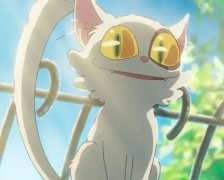 铃屋之旅经典台词语录汇总