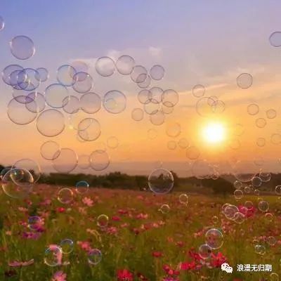 励志成功语录经典短句_励志成功人士的故事_成功励志