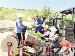 名人名言励志-点燃心中的火焰名人名言助力我们