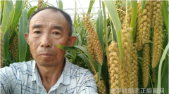 残疾人励志故事中哪些品质最令你感动
